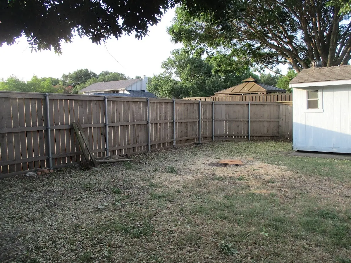 Cleared yard after professional tree removal in Atwood